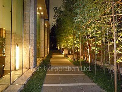 Courtyard/Greenery