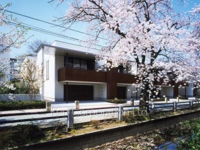  Exterior from afar