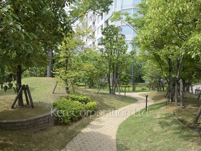 Courtyard/Greenery