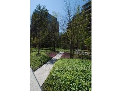 Courtyard/Greenery