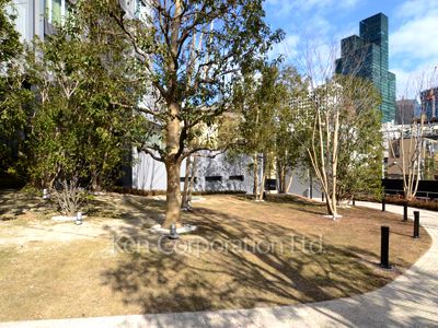Courtyard/Greenery