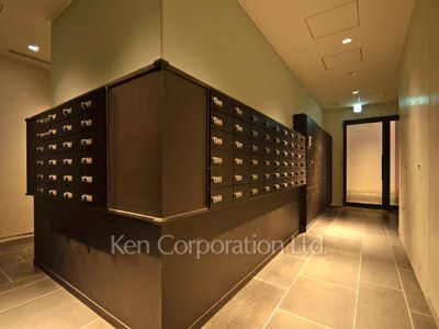 Mail/Delivery box