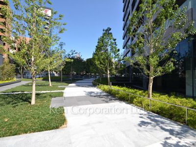 Courtyard/Greenery