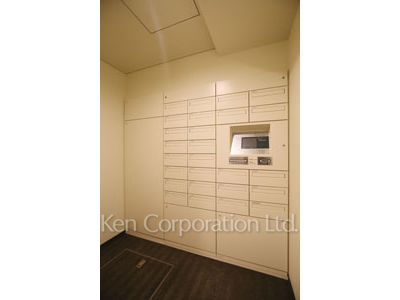 Mail/Delivery box
