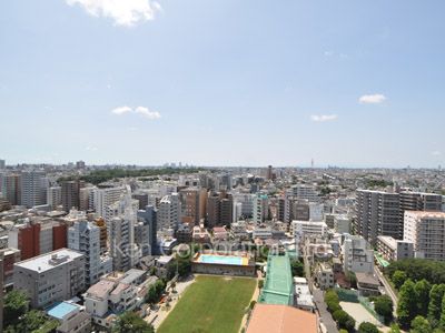View from the property