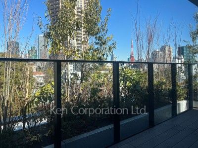 View from the property