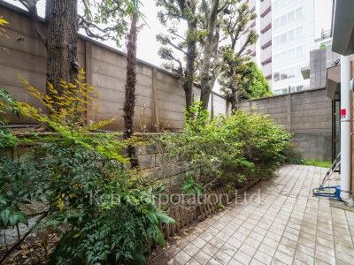 Private yard/Garden