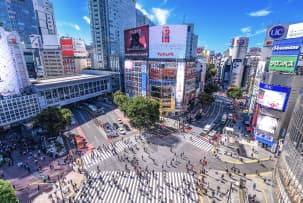 Popular Areas : Shibuya 
